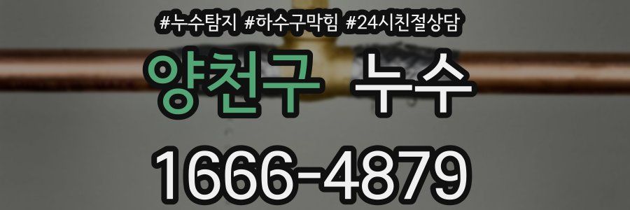 양천구 누수