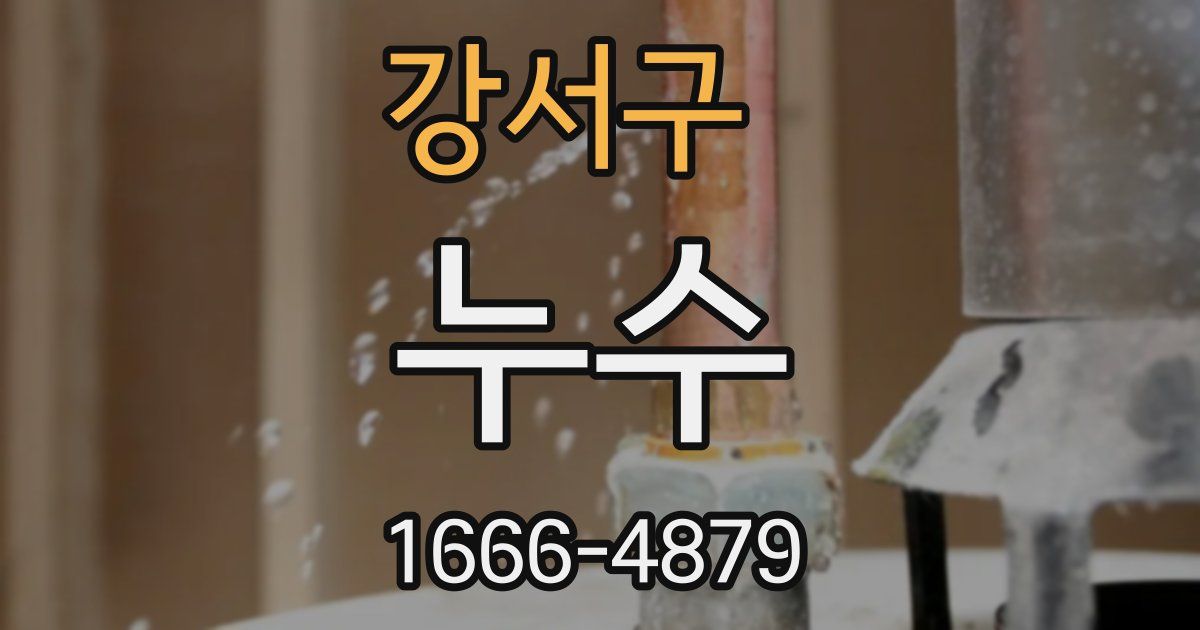 강서구 누수