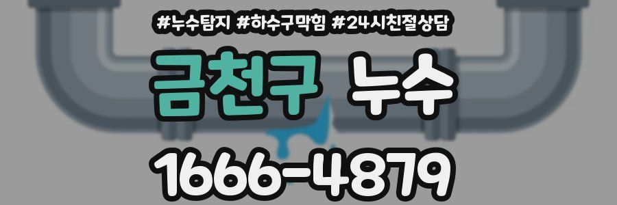 금천구 누수