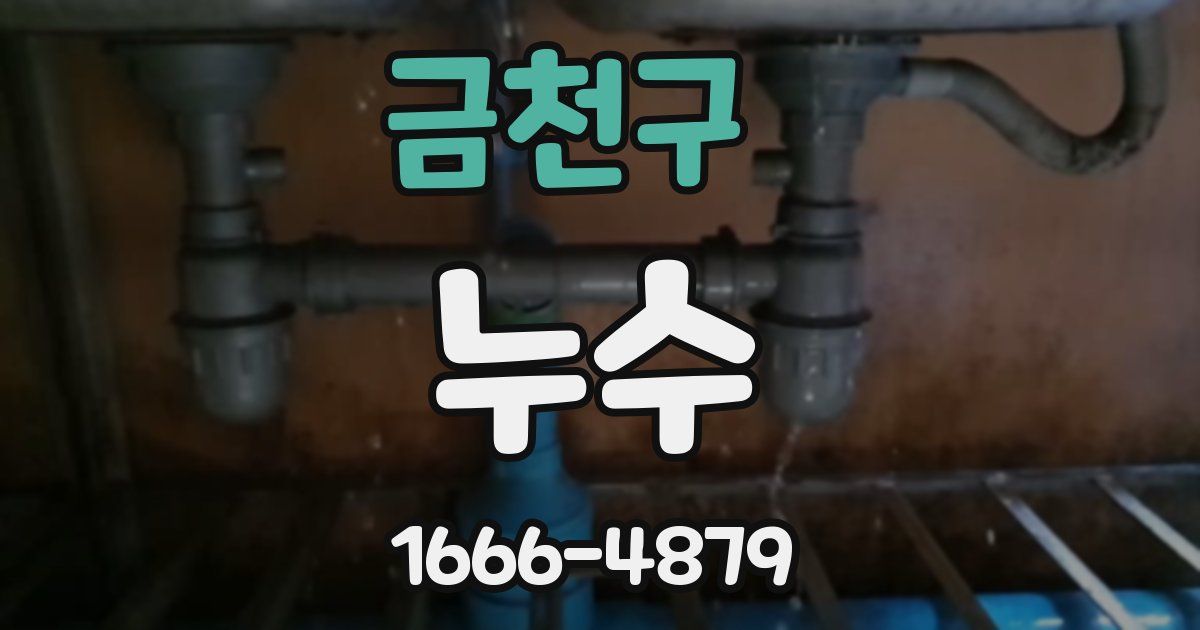 금천구 누수