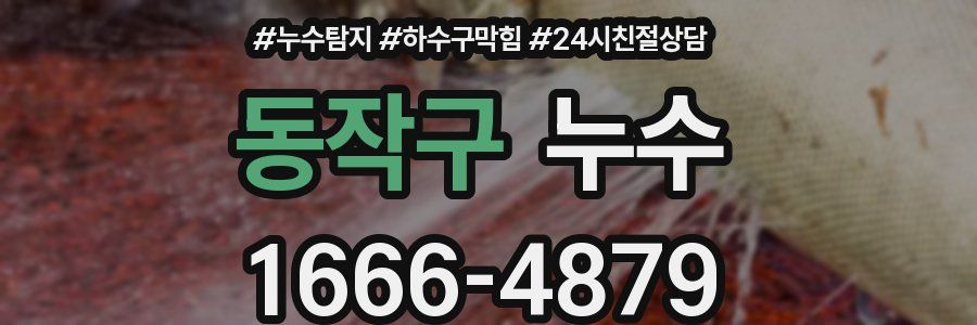 동작구 누수