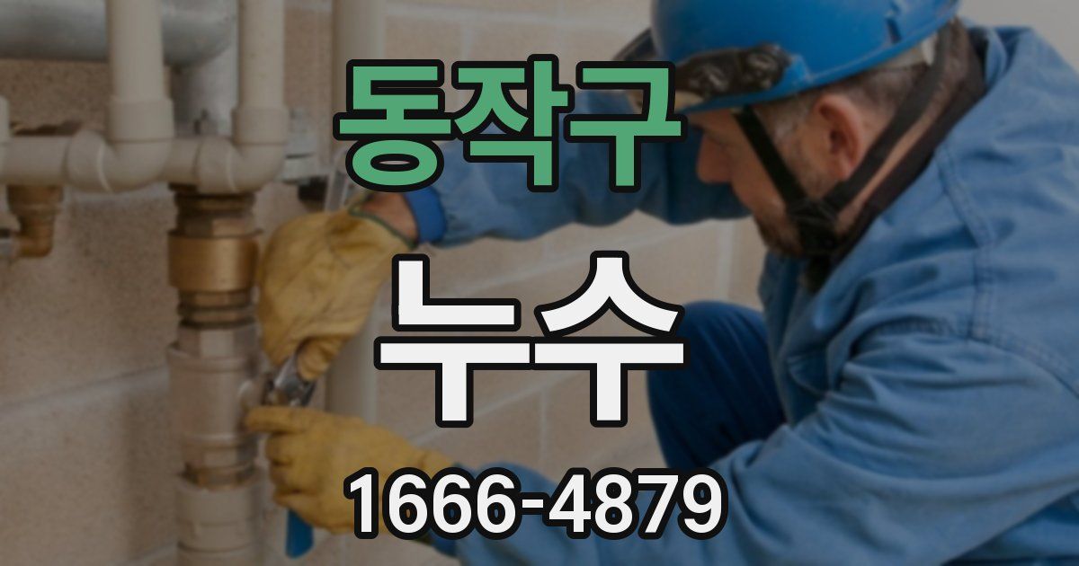 동작구 누수