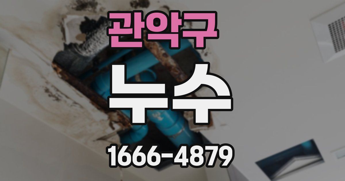 관악구 누수