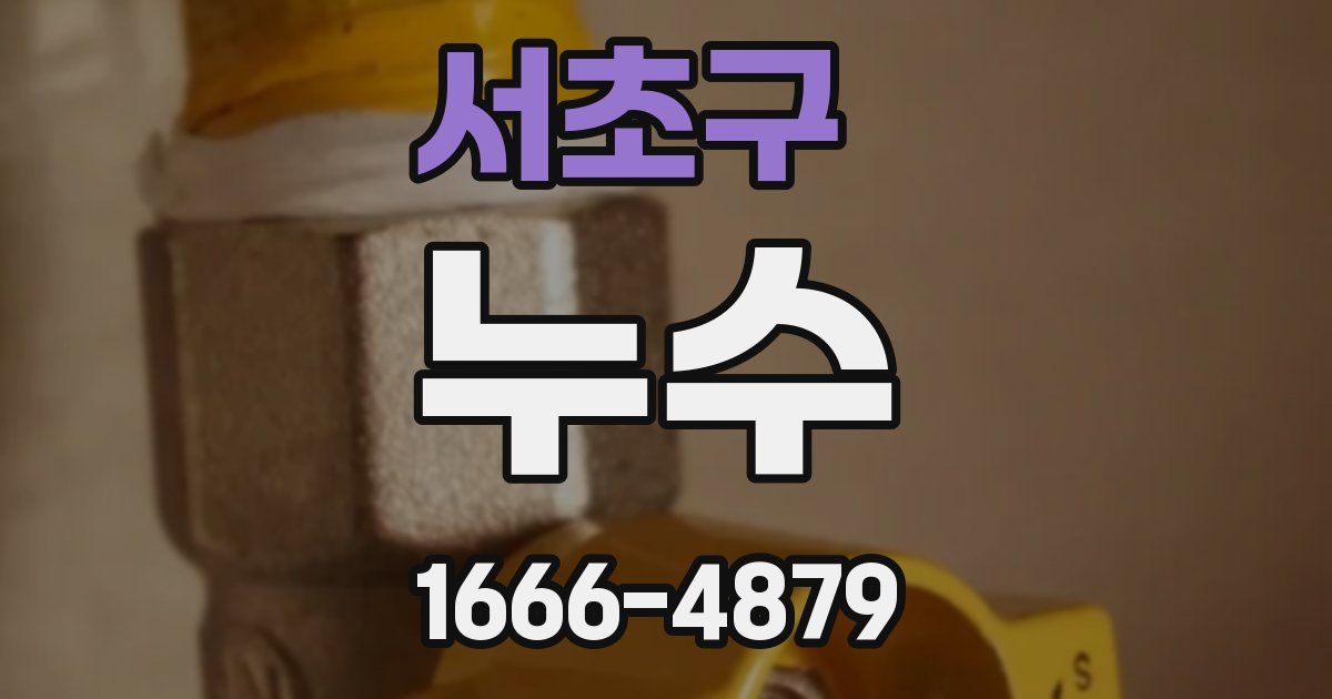 서초구 누수