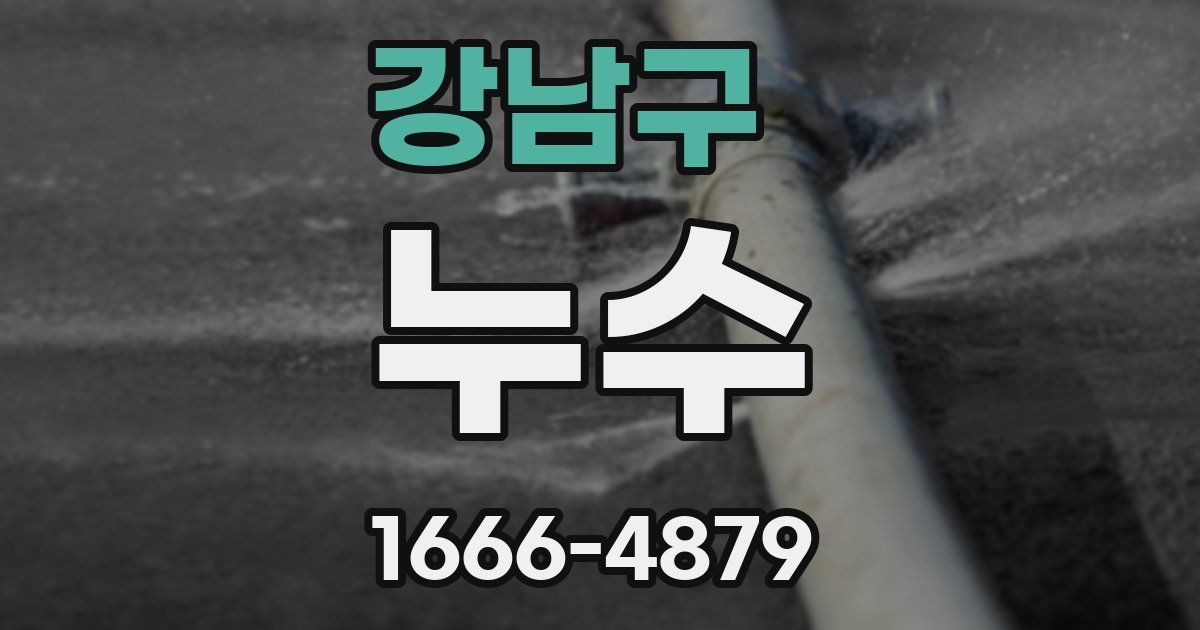강남구 누수