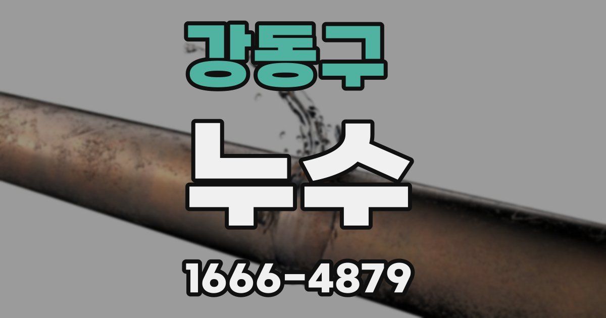 강동구 누수