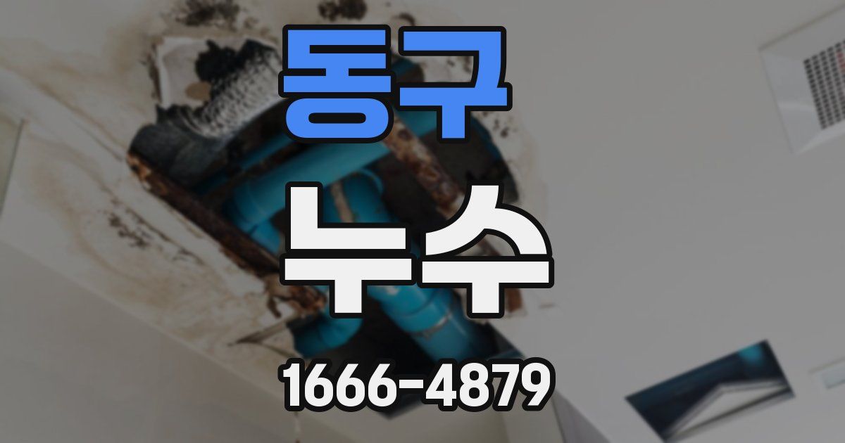 동구 누수