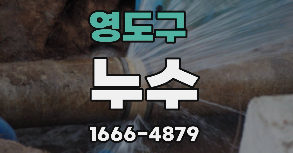 영도구 누수