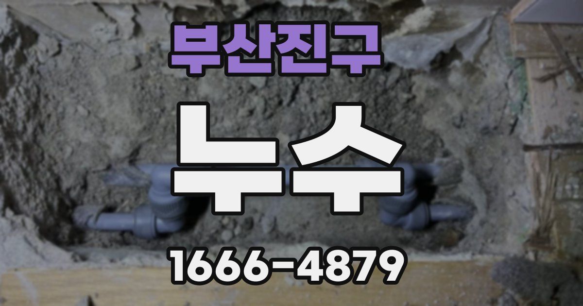 부산진구 누수