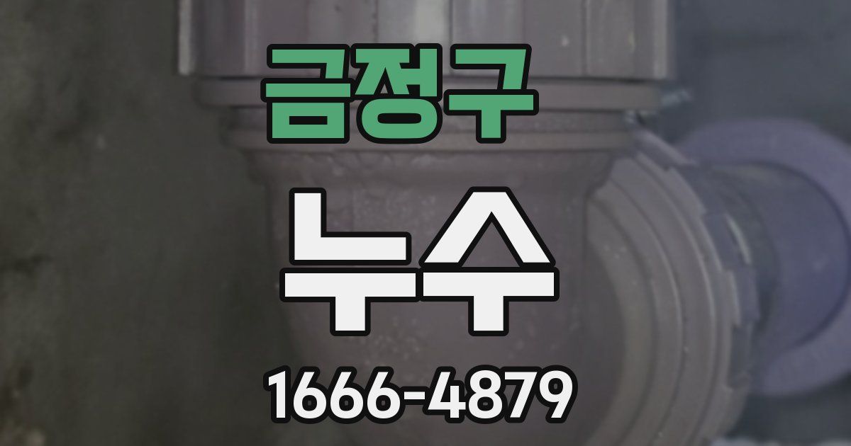 금정구 누수