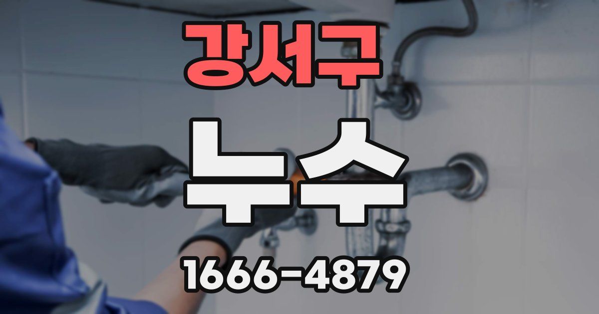 강서구 누수
