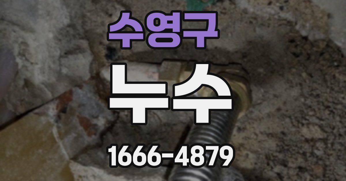 수영구 누수