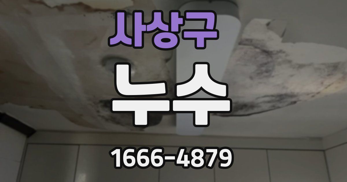 사상구 누수