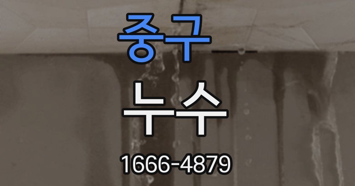 중구 누수