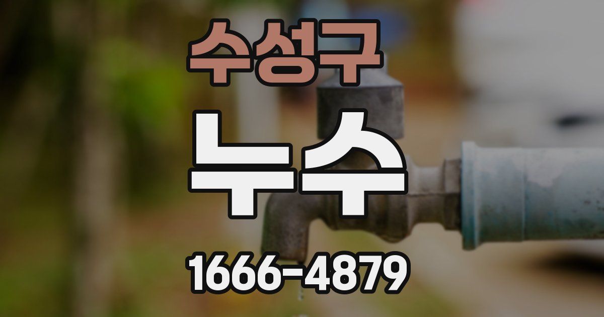 수성구 누수