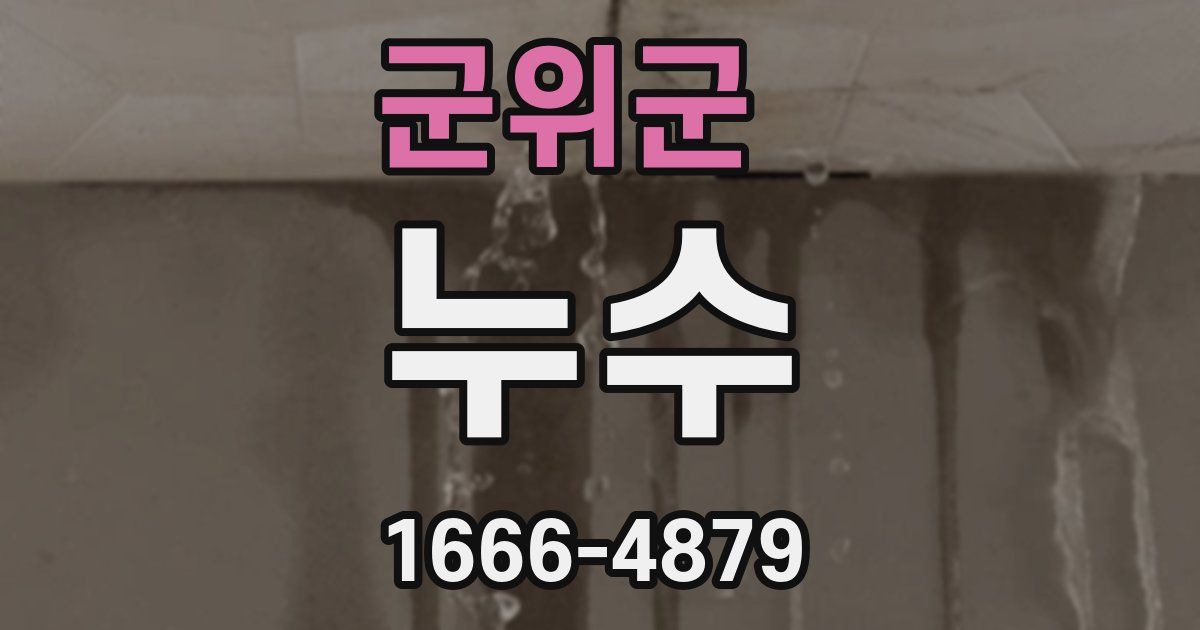 군위군 누수