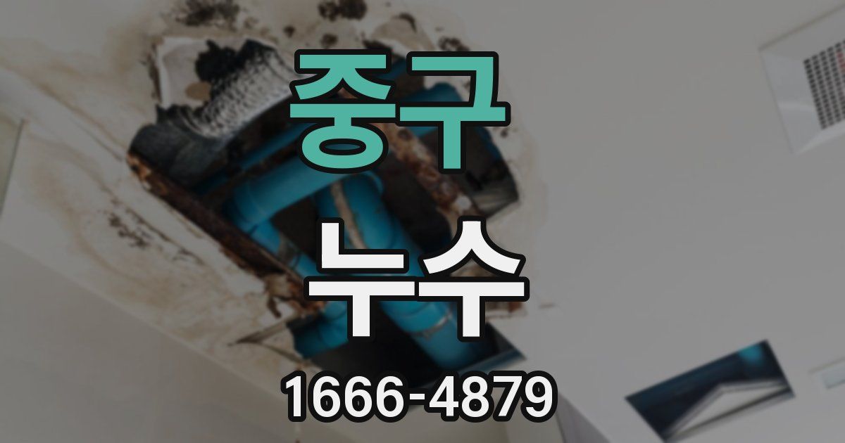 중구 누수