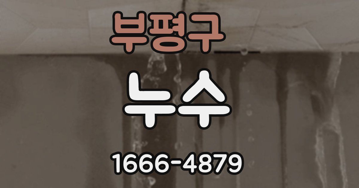 부평구 누수