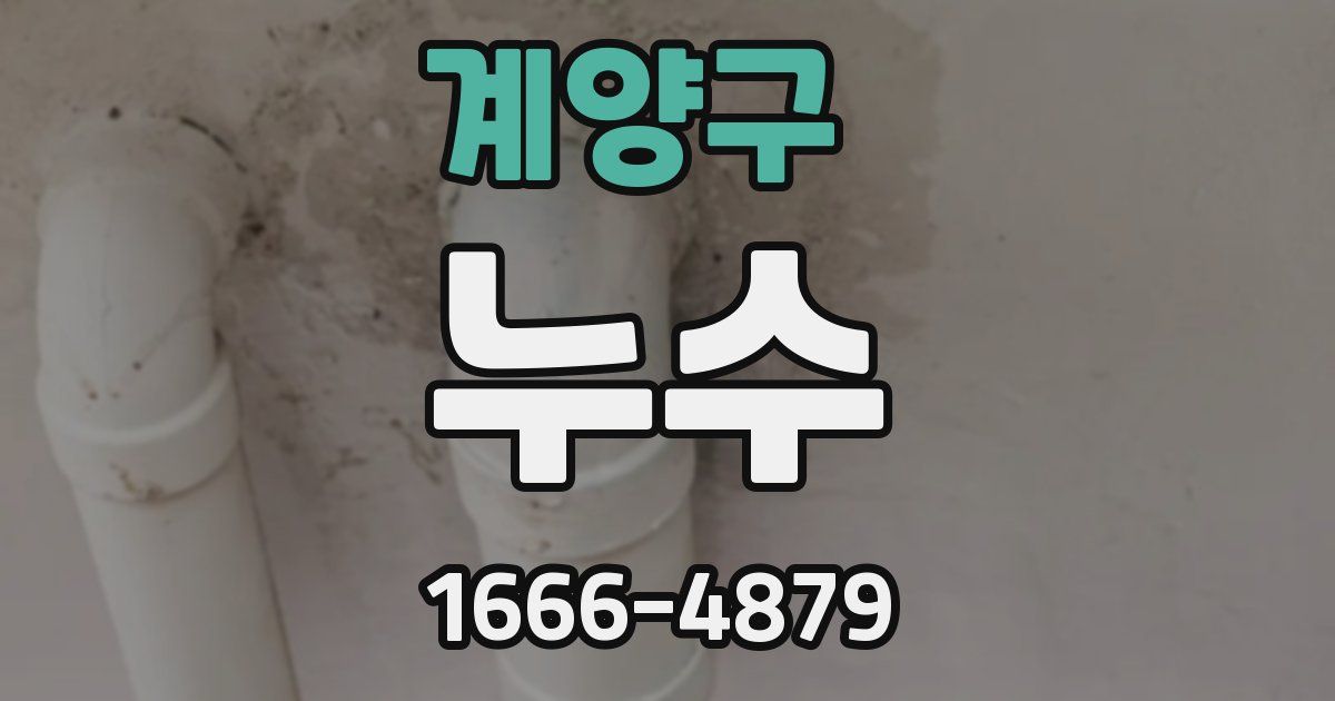 계양구 누수