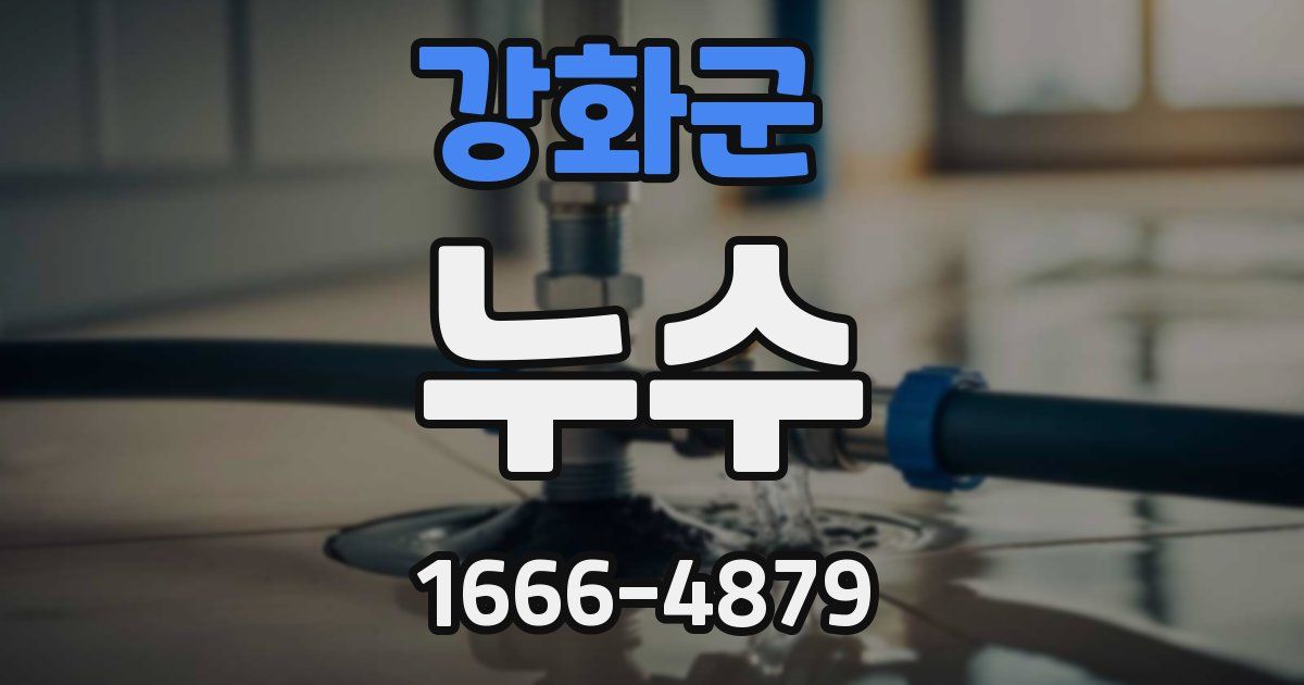 강화군 누수