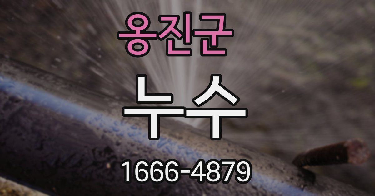옹진군 누수