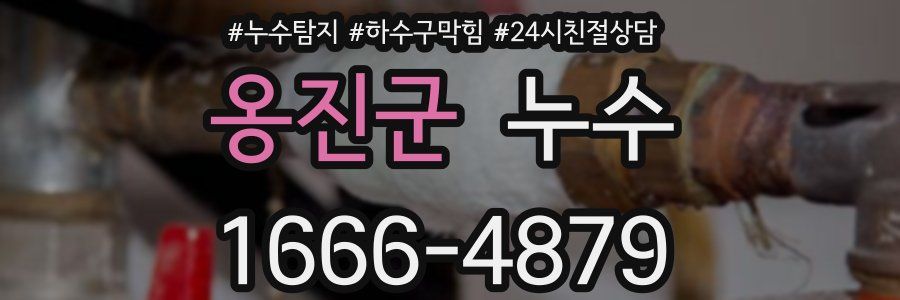 옹진군 누수