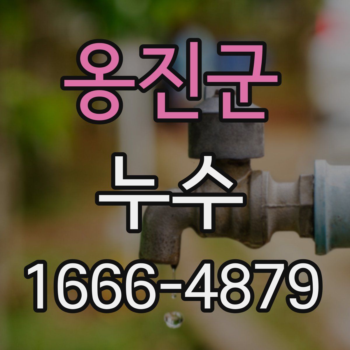 옹진군 누수