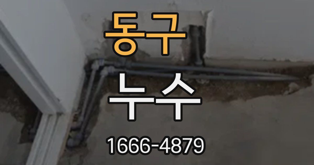 동구 누수