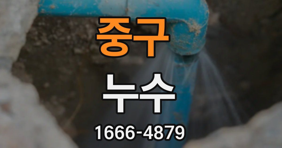 중구 누수
