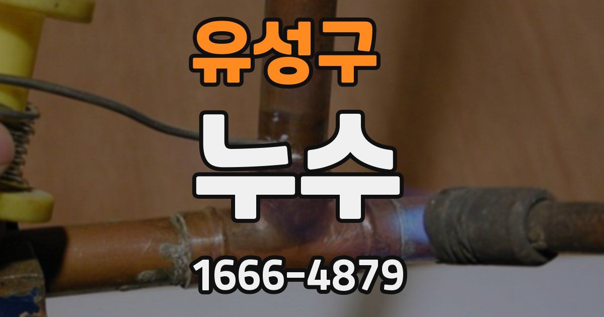 유성구 누수