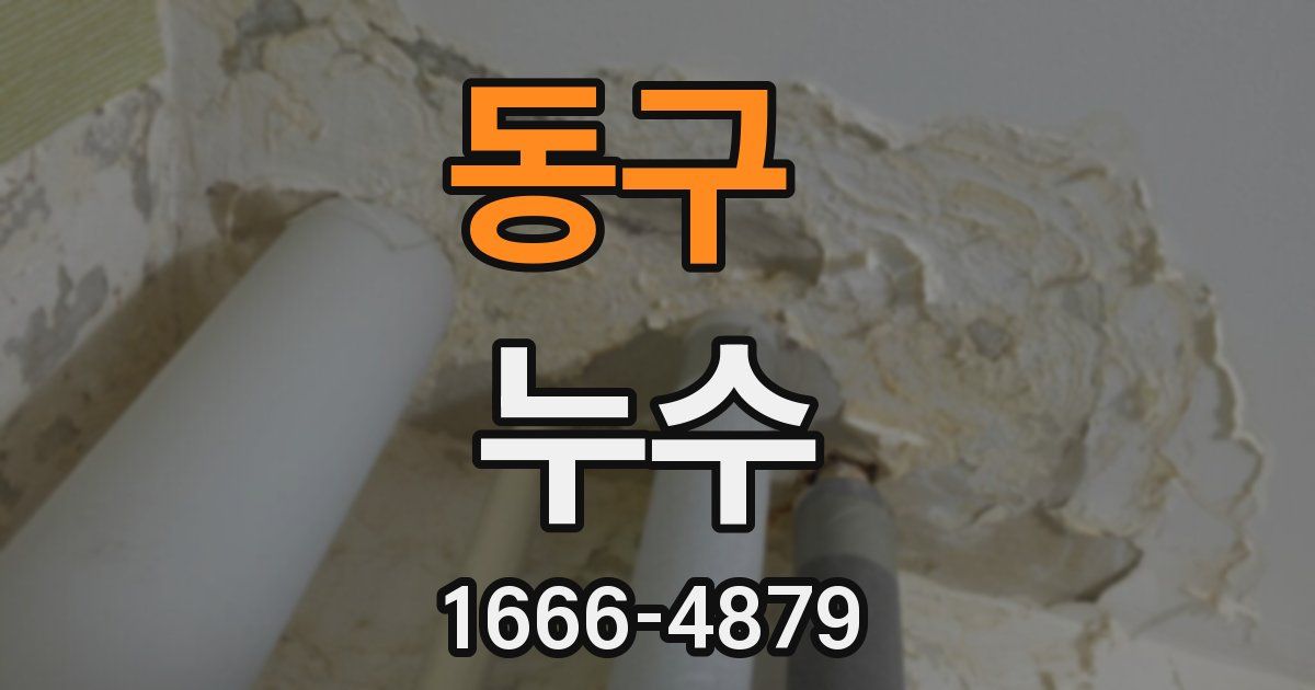 동구 누수