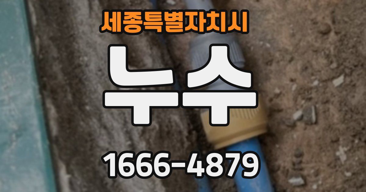 세종특별자치시 누수