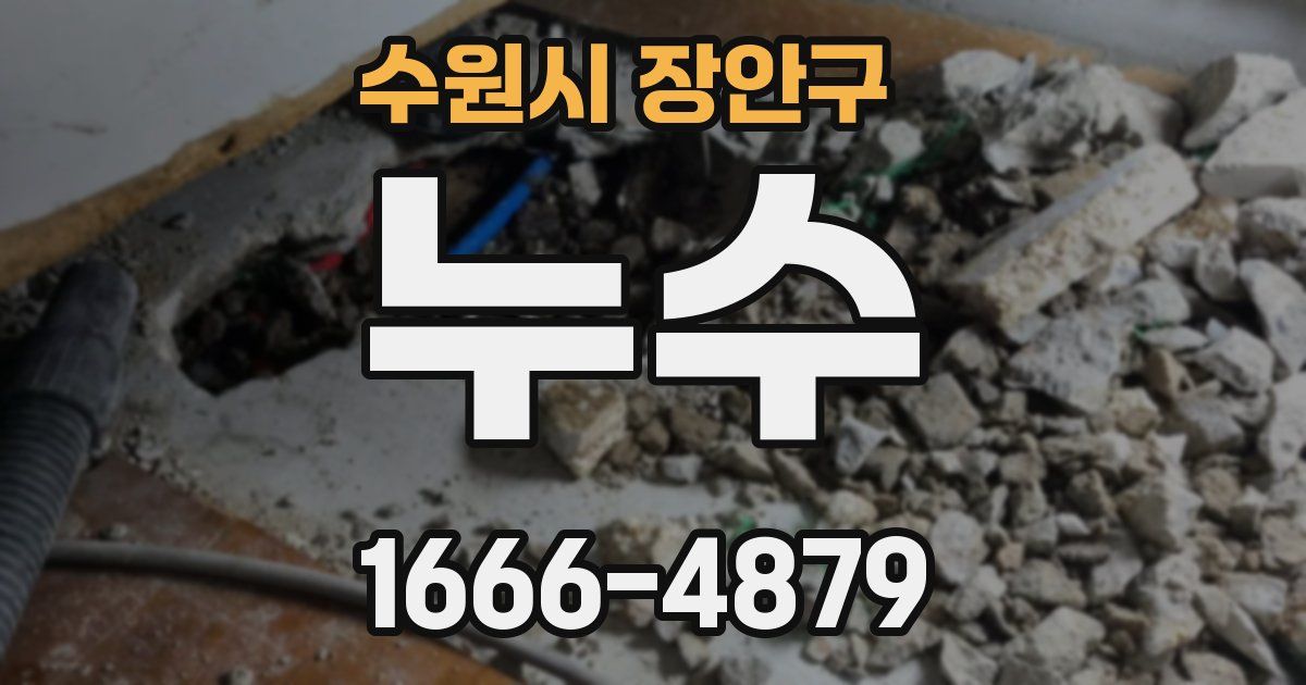 수원시 장안구 누수