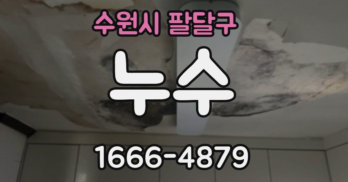 수원시 팔달구 누수