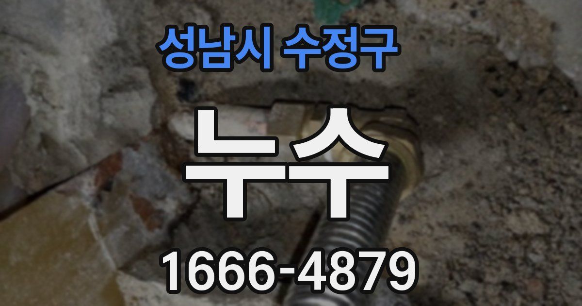성남시 수정구 누수