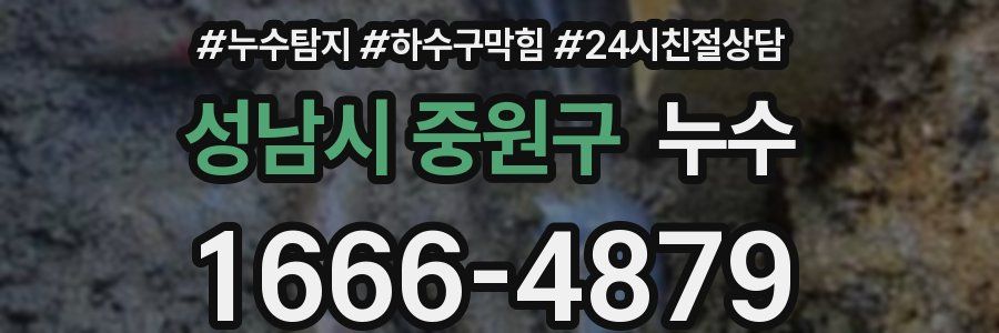 성남시 중원구 누수