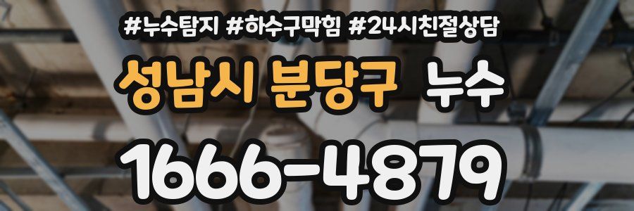 성남시 분당구 누수