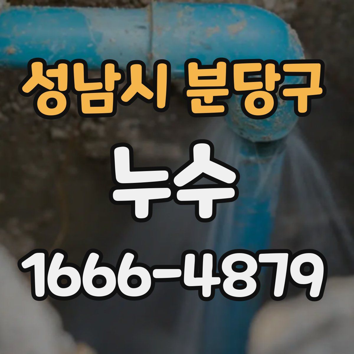 성남시 분당구 누수