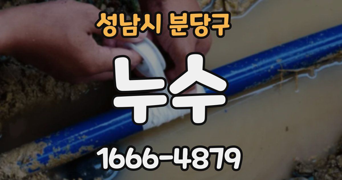 성남시 분당구 누수