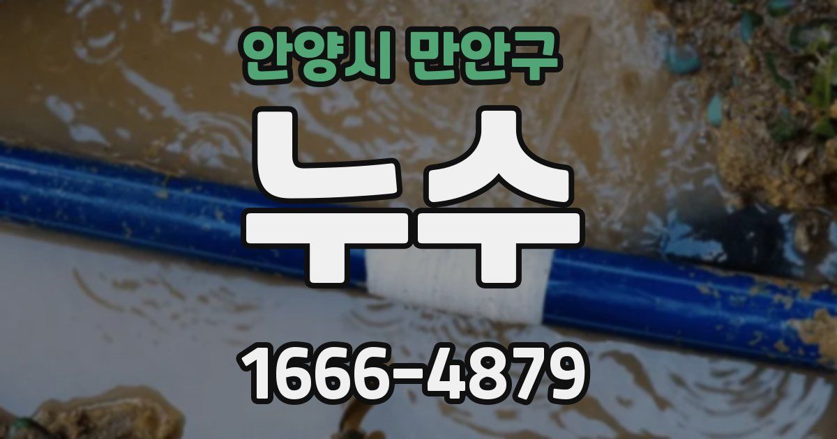 안양시 만안구 누수