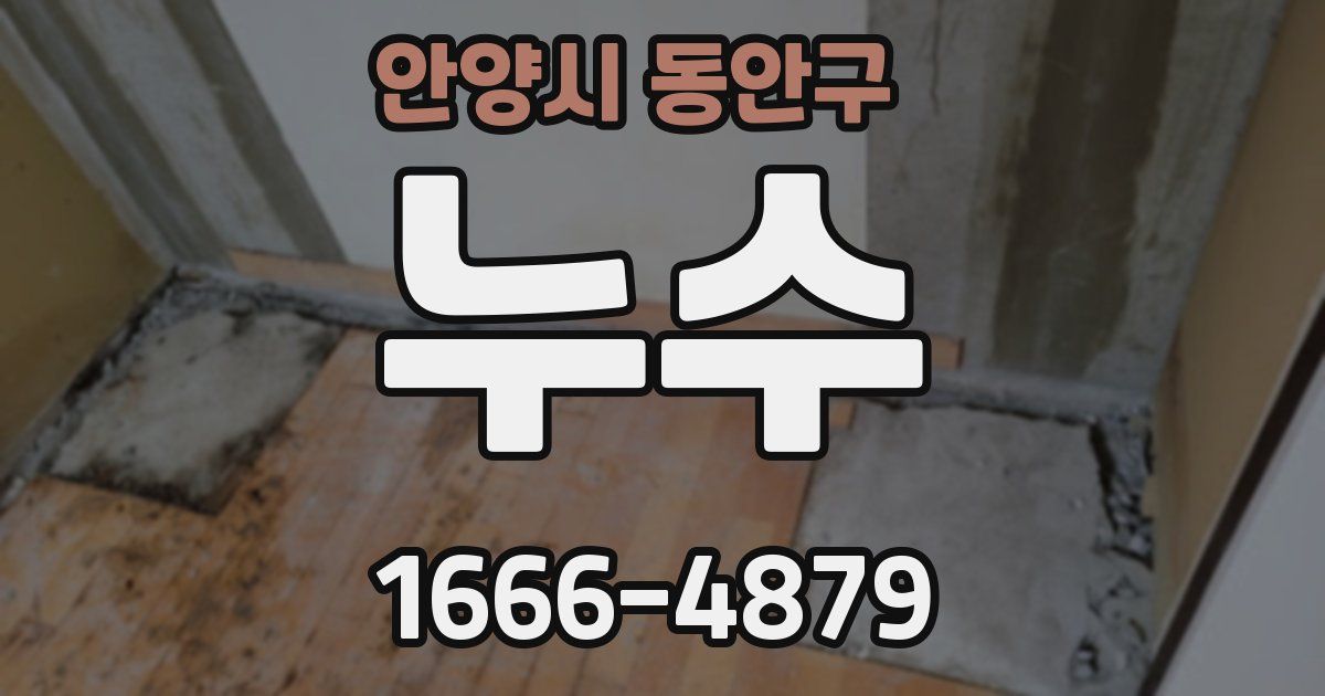 안양시 동안구 누수