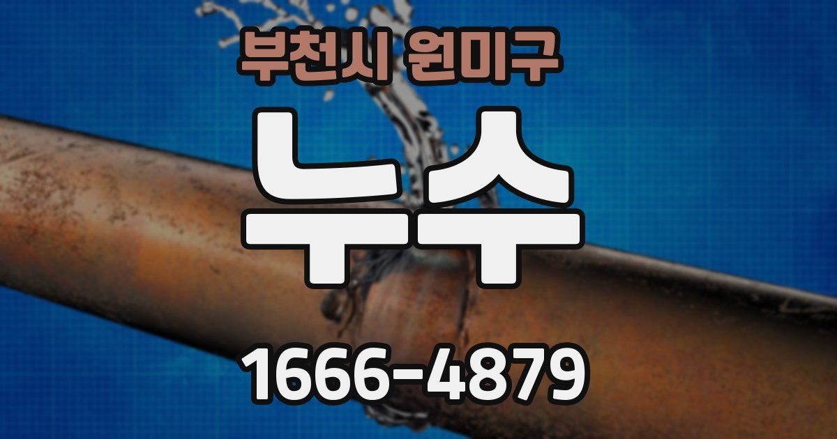 부천시 원미구 누수
