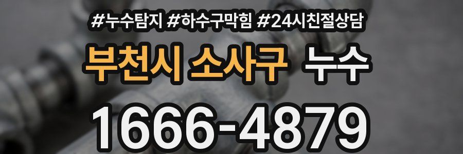 부천시 소사구 누수