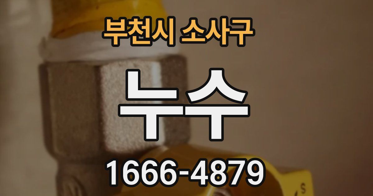 부천시 소사구 누수