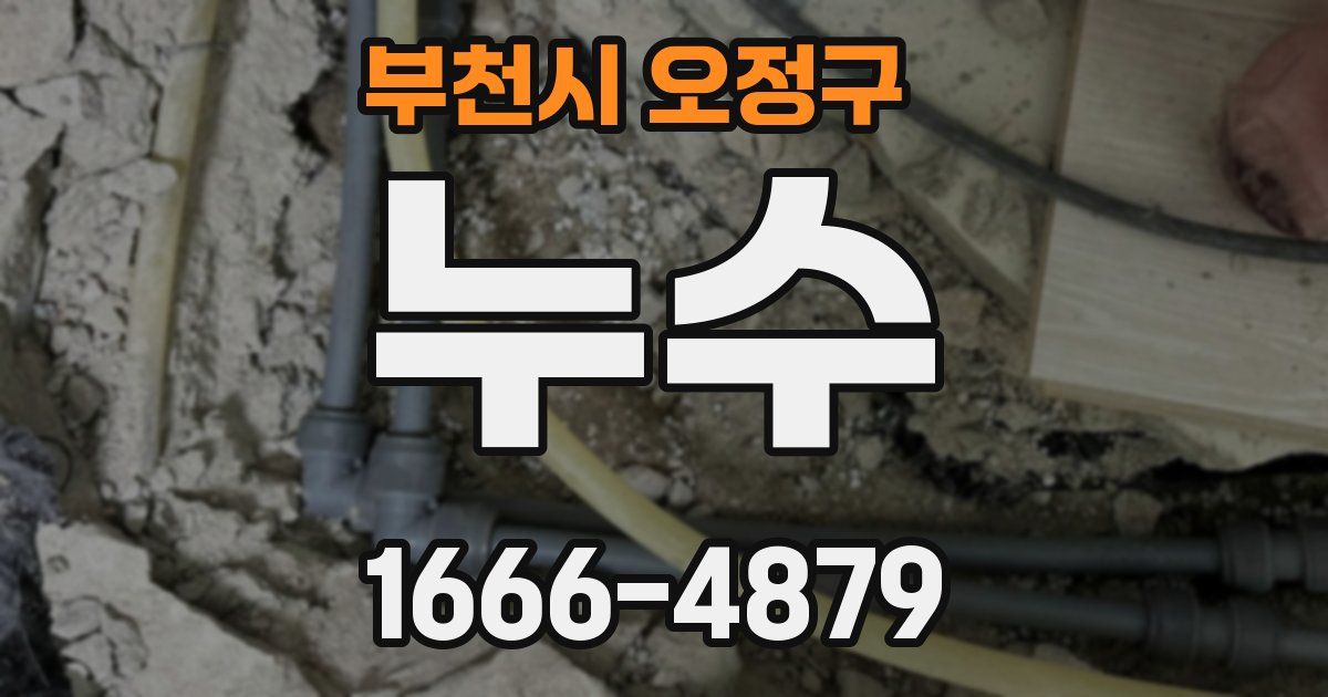 부천시 오정구 누수