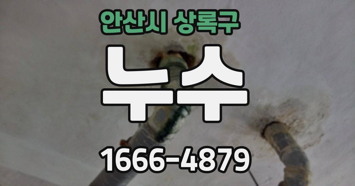 안산시 상록구 누수