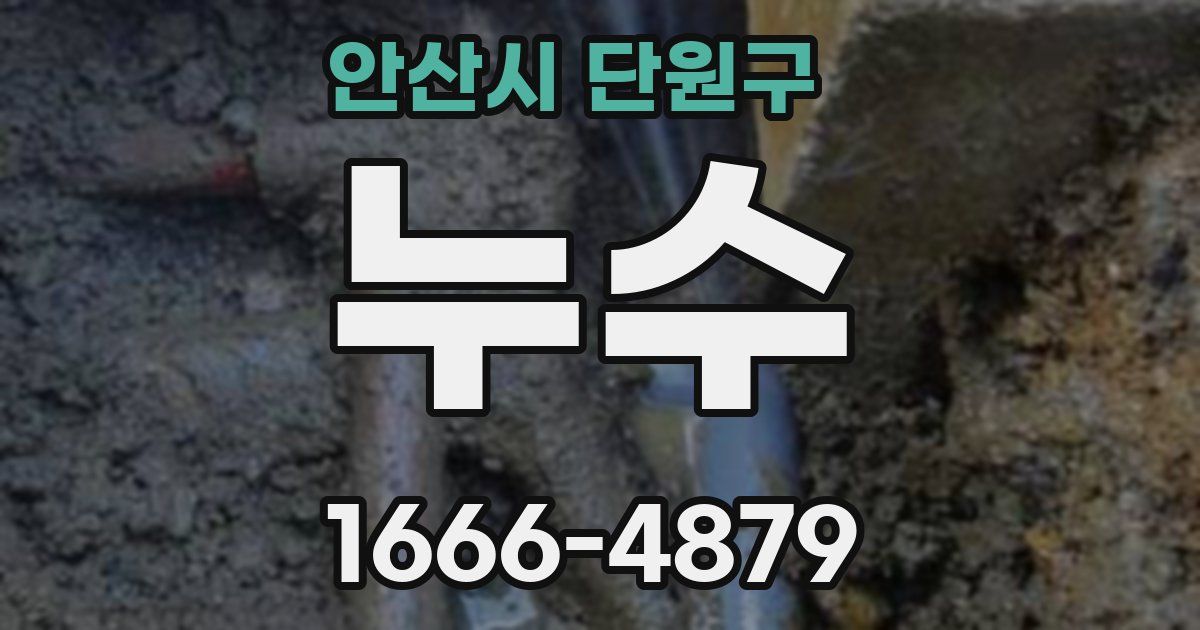 안산시 단원구 누수