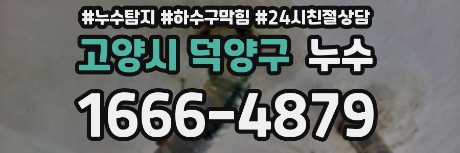 고양시 덕양구 누수