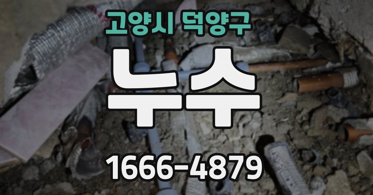 고양시 덕양구 누수