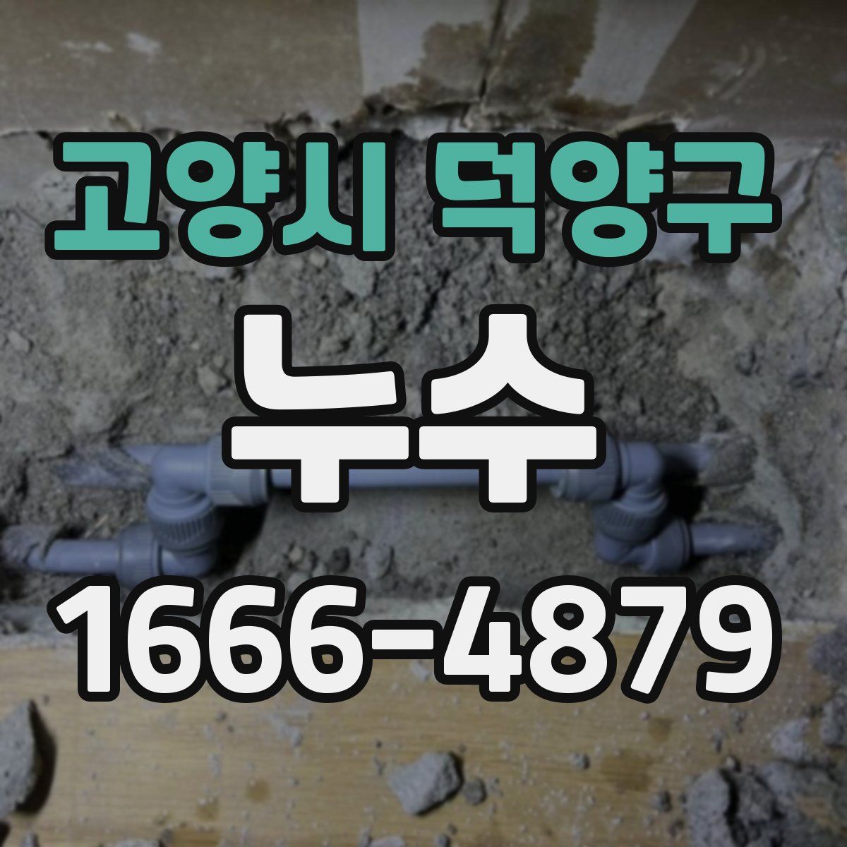 고양시 덕양구 누수
